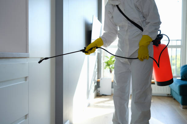 Best Mold Removal Specialists  in Mounds View, MN