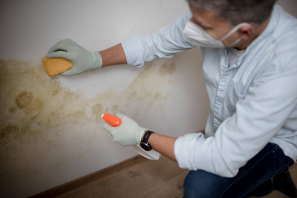 Crawl Space Mold Removal in Mounds View, MN