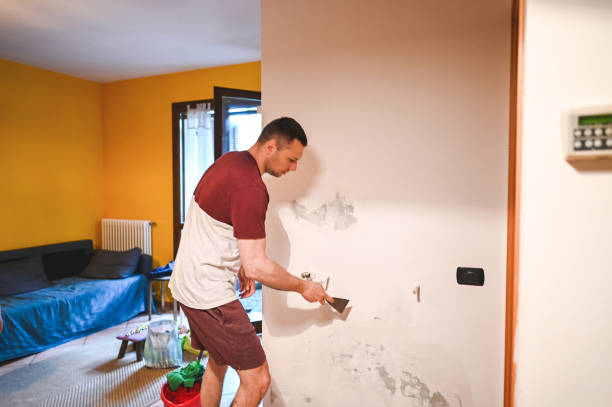 Office Mold Removal Services in Mounds View, MN